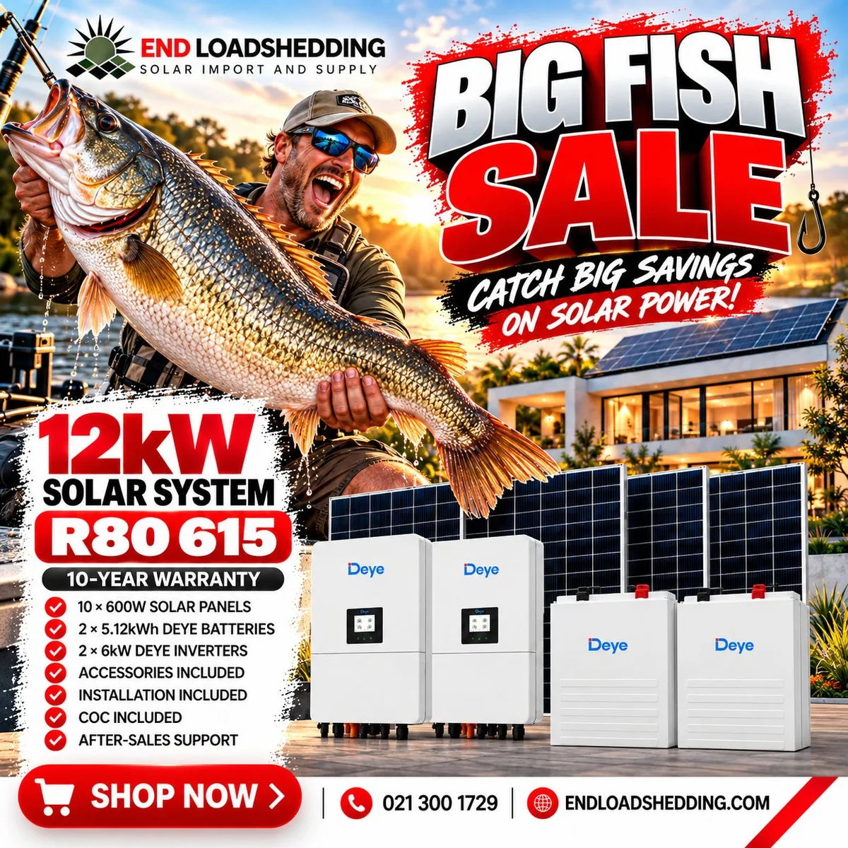 12kW Deye solar system package