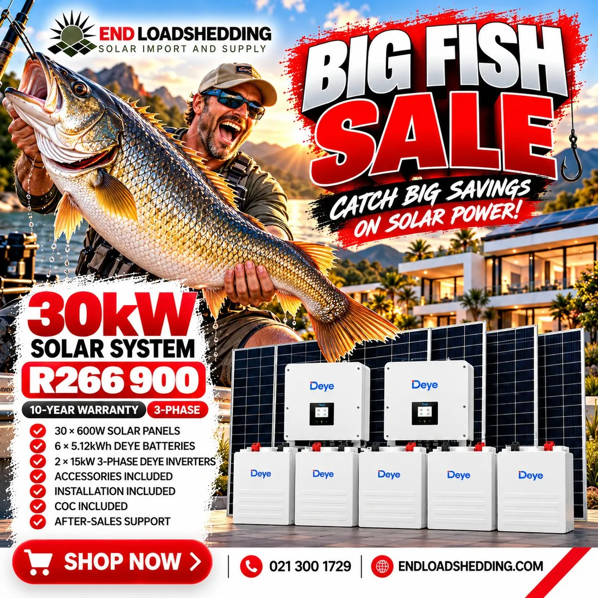 30kW Deye solar system package