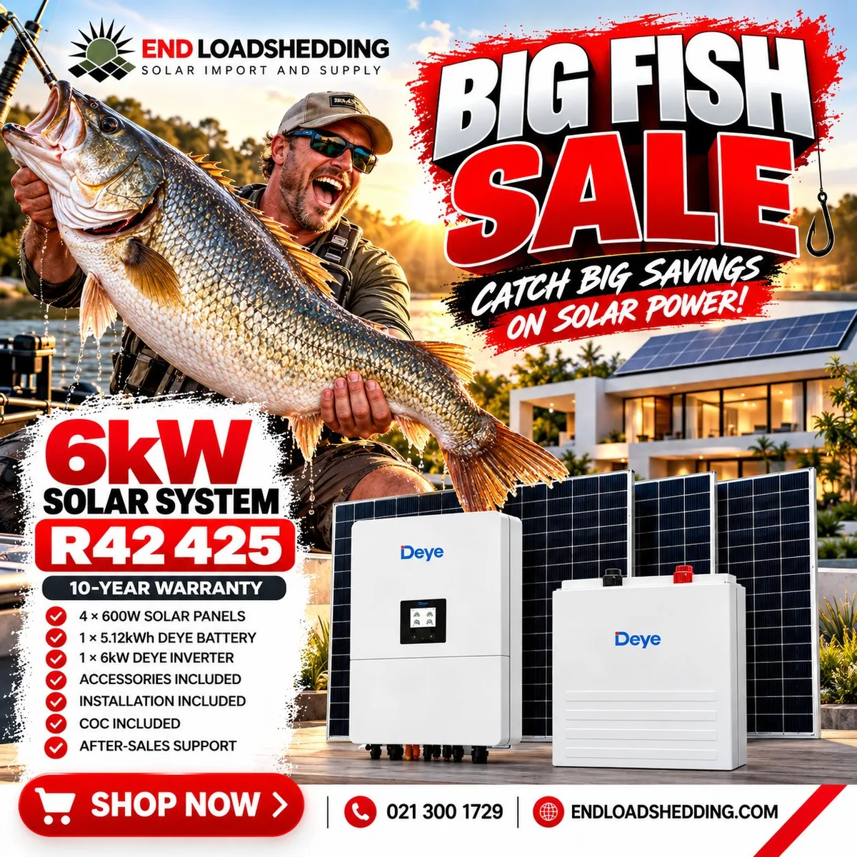 6kW Deye solar system package